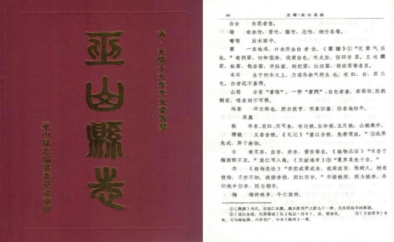 微信图片_2026-01-15_142218_915