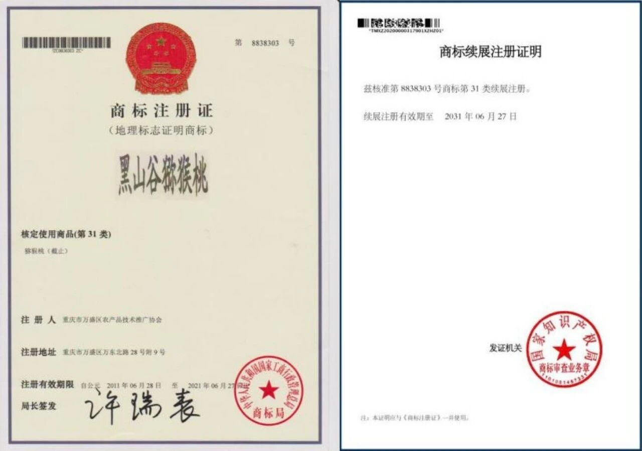 微信图片_2026-01-15_140427_497