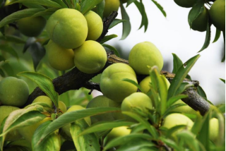 微信图片_2026-01-15_142213_137