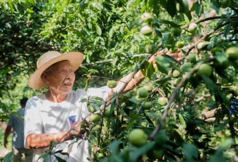 微信图片_2026-01-15_142229_713