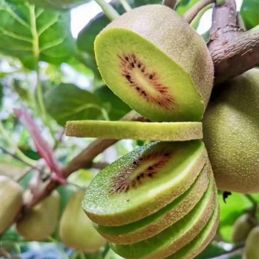 微信图片_2026-01-15_140416_878