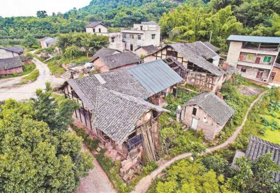 微信图片_2026-01-19_140509_442