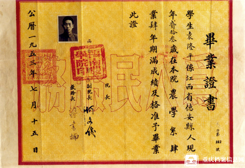 d106233e96144faab77982021cf50487.png