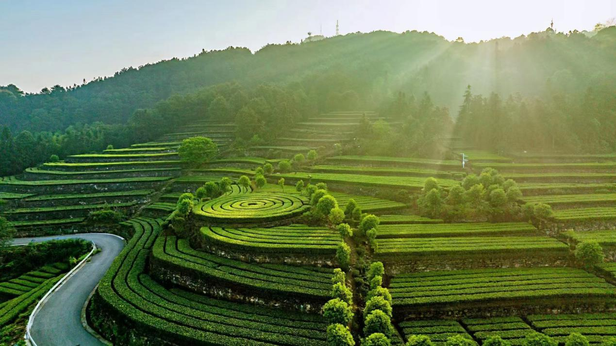 微信图片_2026-01-16_095254_914