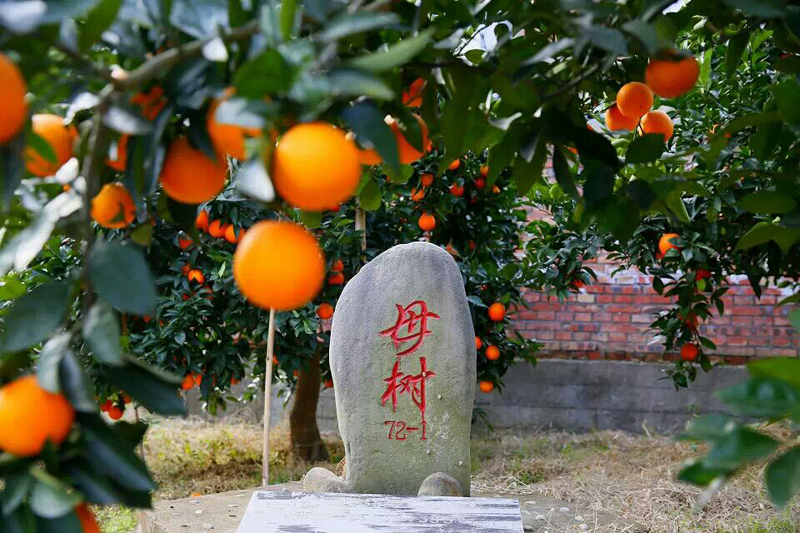 微信图片_2026-01-15_142849_200