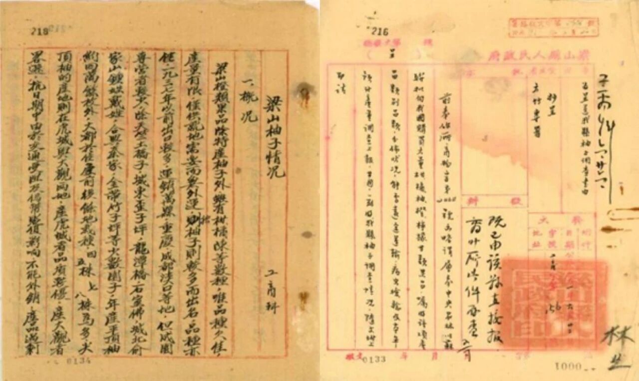 微信图片_2026-01-15_154024_770