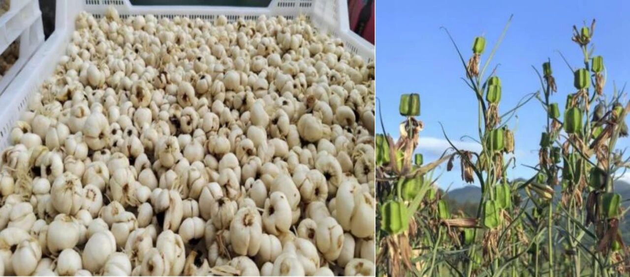 微信图片_2026-01-15_141727_943