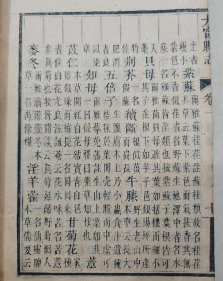 微信图片_2026-01-15_141732_974