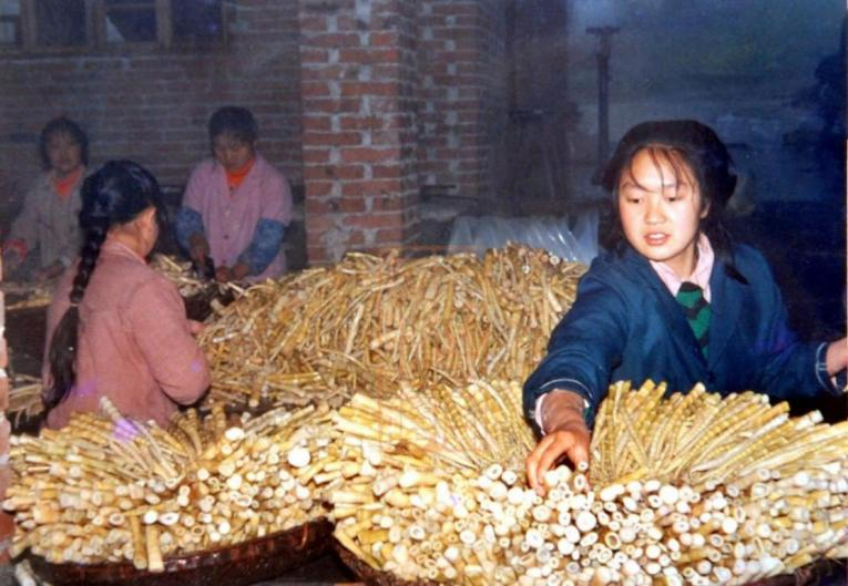 微信图片_2026-01-16_094850_635