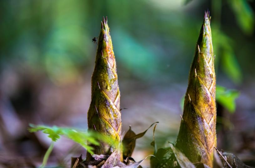 微信图片_2026-01-16_094844_710