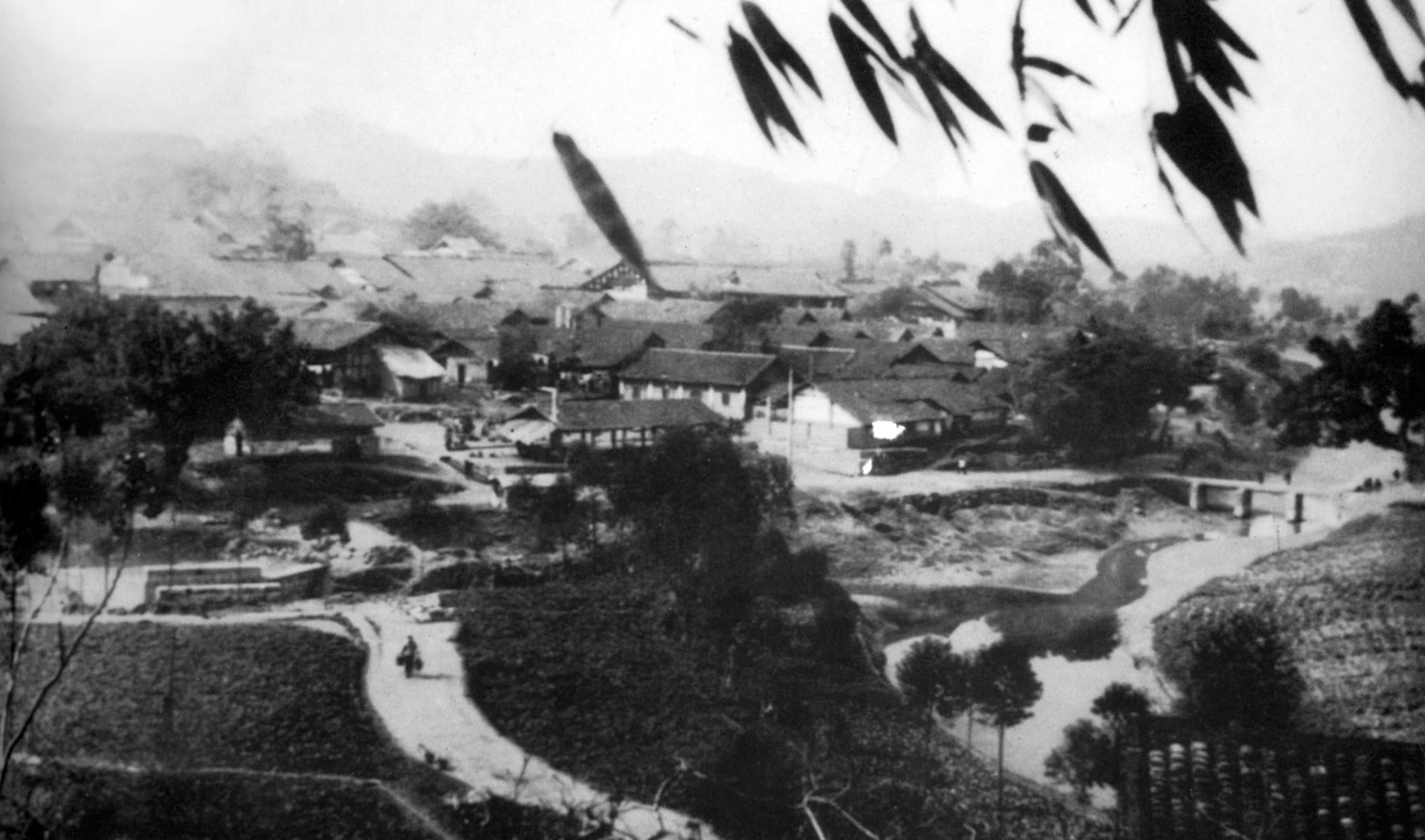 微信图片_2026-01-20_161735_250