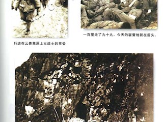 远征大西南(十五)
