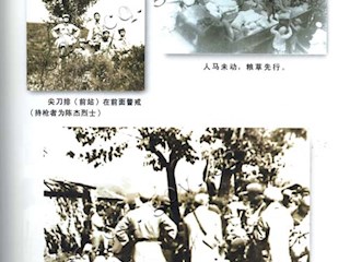 远征大西南(十)