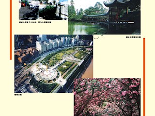 沧桑巨变（二十）