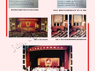 有凤来仪（六）