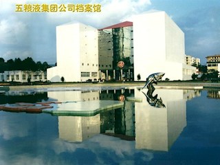 五粮液集团公司