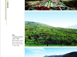 重庆环境治理整顿“三大”;工程的开展